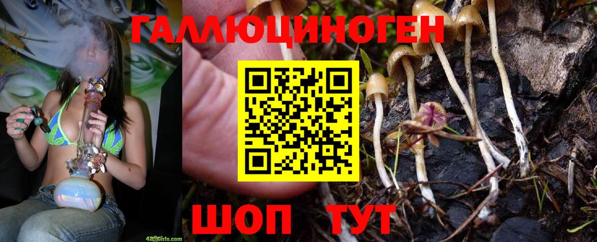 Галлюциногенные грибы ЛСД Стрежевой